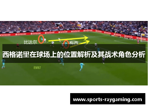 西格诺里在球场上的位置解析及其战术角色分析
