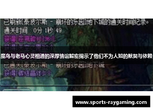 魔鸟与老马心灵相通的深厚情谊解密揭示了他们不为人知的默契与依赖
